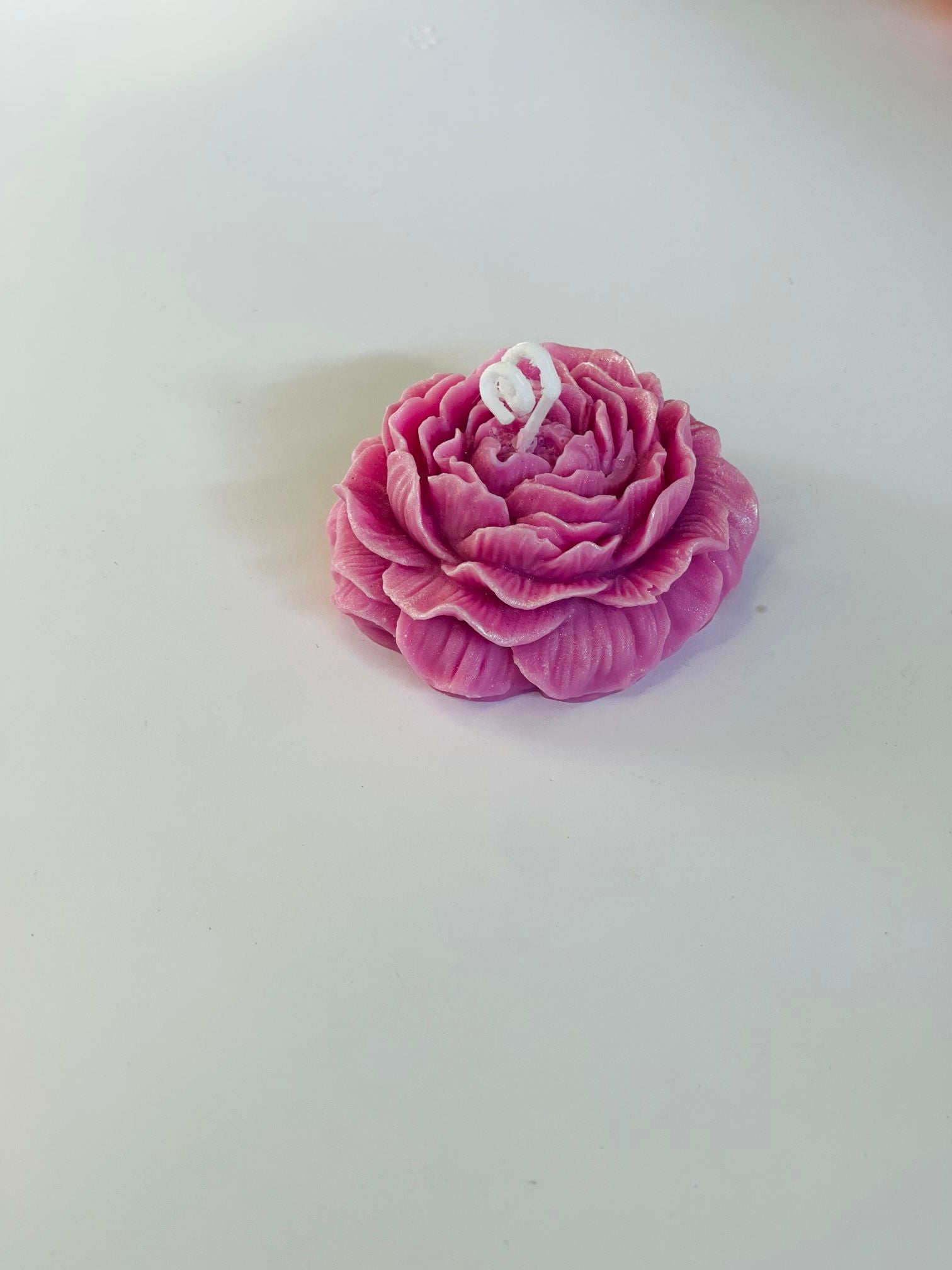 Ciotola ceramica rotonda - Peonia in cera